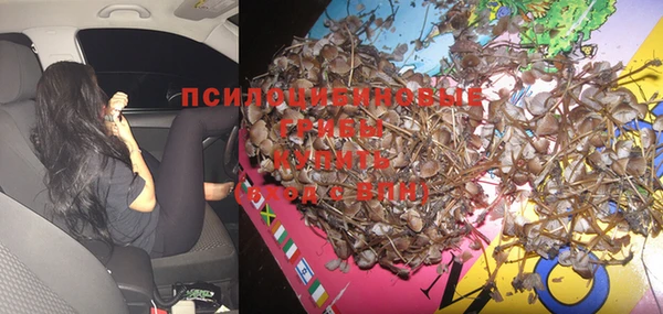 кокс Инта