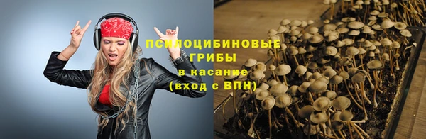 мескалин Инсар