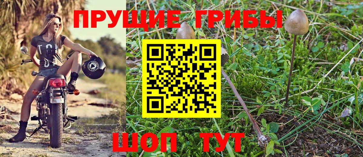 Псилоцибиновые грибы Нижневартовск