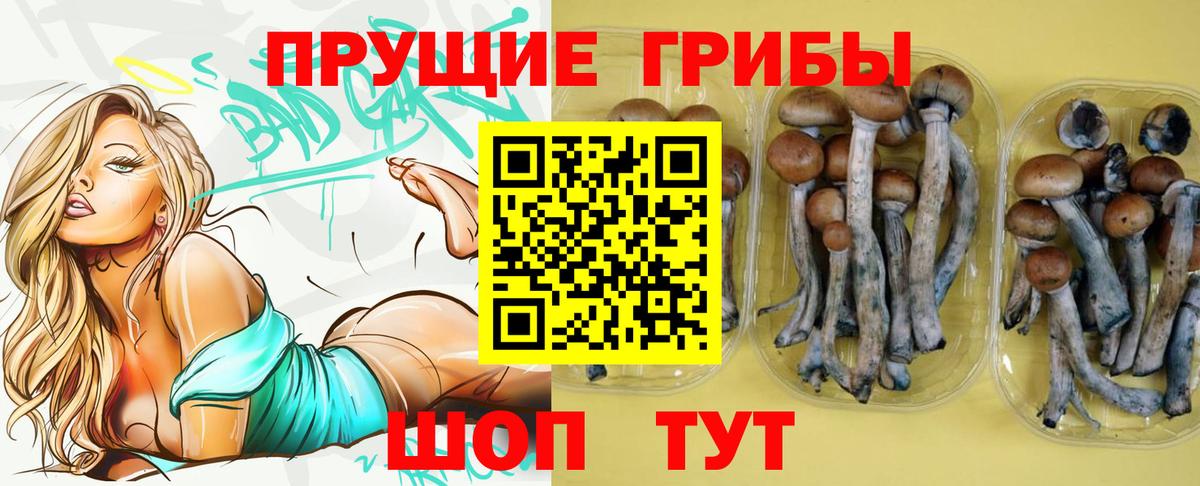 Псилоцибиновые грибы ЛСД  Нижневартовск  Псилоцибиновые грибы MAGIC MUSHROOMS 