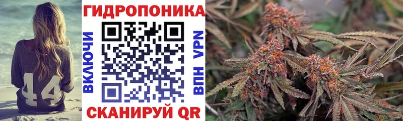 Шишки марихуана ГИДРОПОН MEGA как войти Нижневартовск наркота